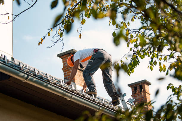 Best Roof Leak Repair  in East Flat Rock, NC